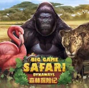 PGSLOT สล็อต เว็บใหญ่ Big Game Safari เว็บสล็อต แตกง่าย 2021 2