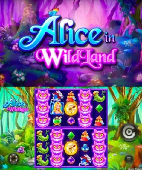 pg slot Alice in WildLand