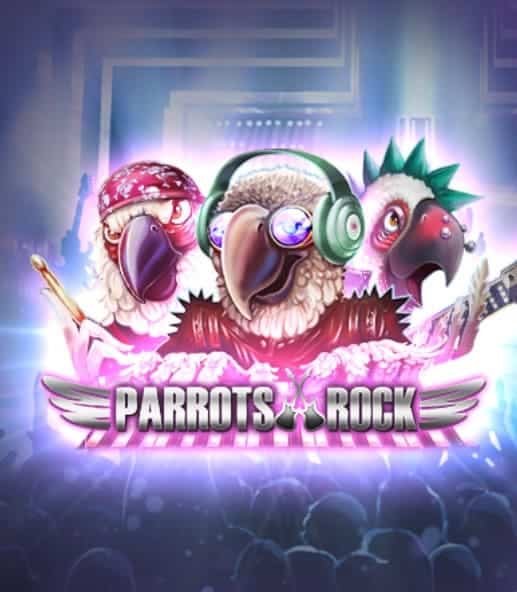 pg slot Parrots Rock