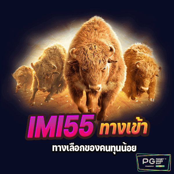 imi55 เข้า ระบบ