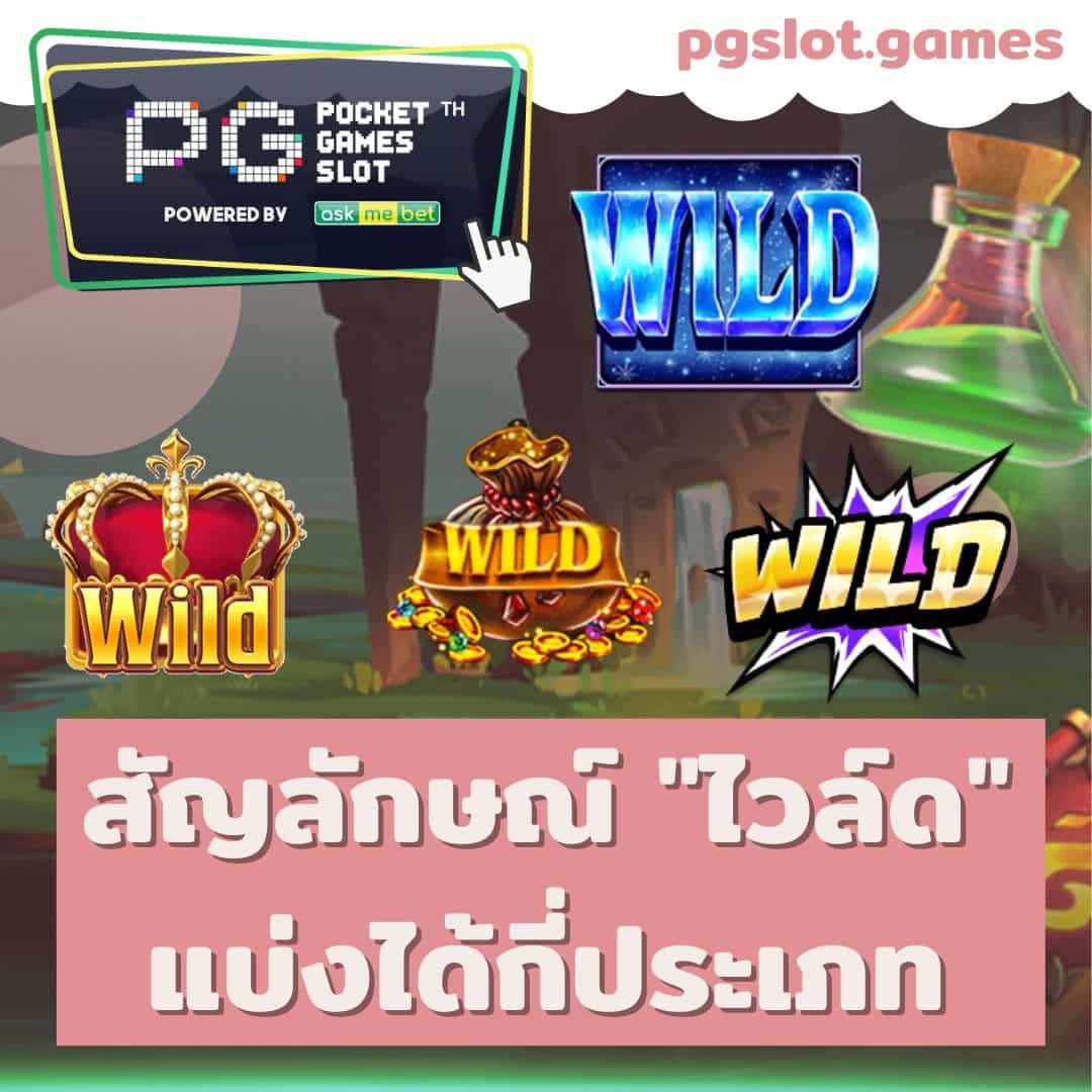 Wild แบ่งได้กี่ประเภท