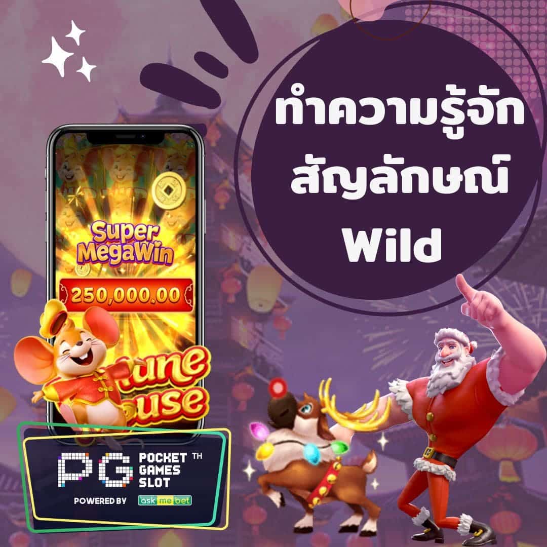 สัญลักษณ์ Wild