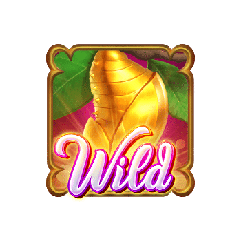 butterfly-blossom_wild_coc
