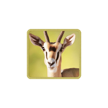 safari-wilds_symbol_h_gazelle_a