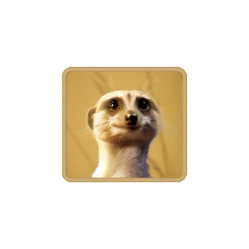 safari-wilds_symbol_h_meerkat_a