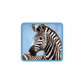 safari-wilds_symbol_h_zebra_a