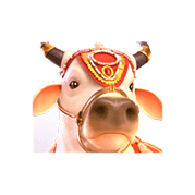 ganesha-fortune_1x_sacred_cow_symbol